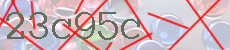 23c95c
